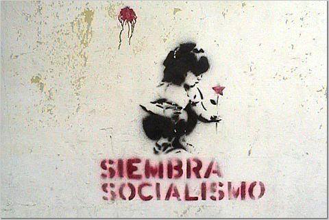 Siembra socialismo